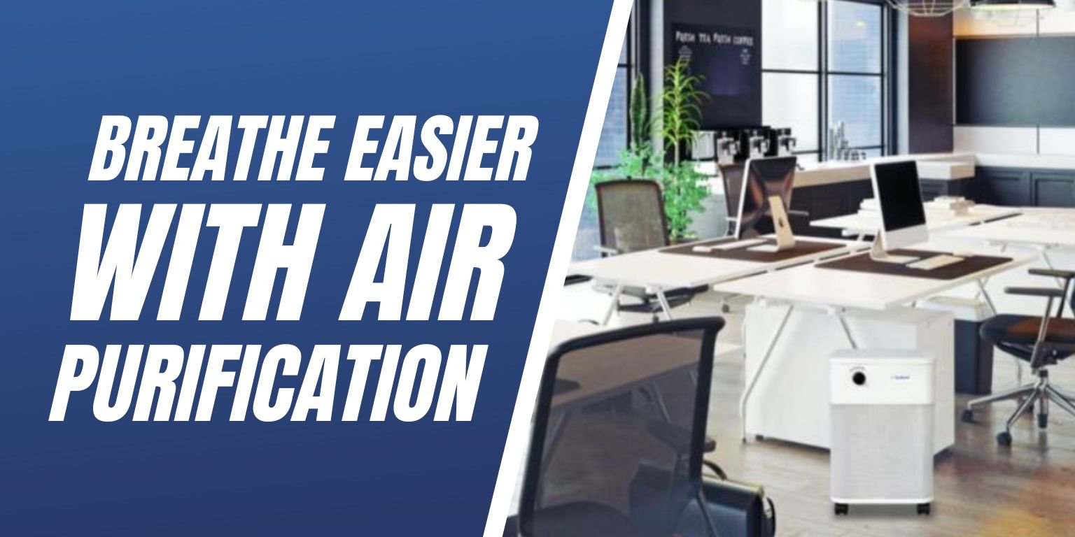 Breathe Easier With Air Purification - Blog Image