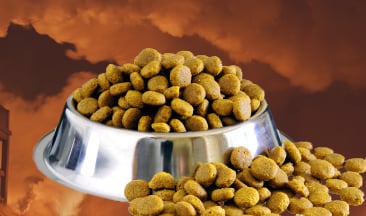 Pet Food material causes a dust fire lasting over 25 hours