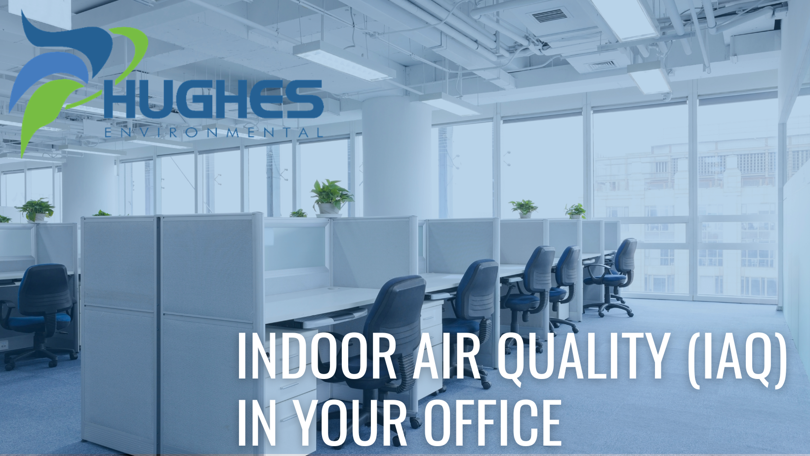 Indoor air quality (IAQ) in Your office