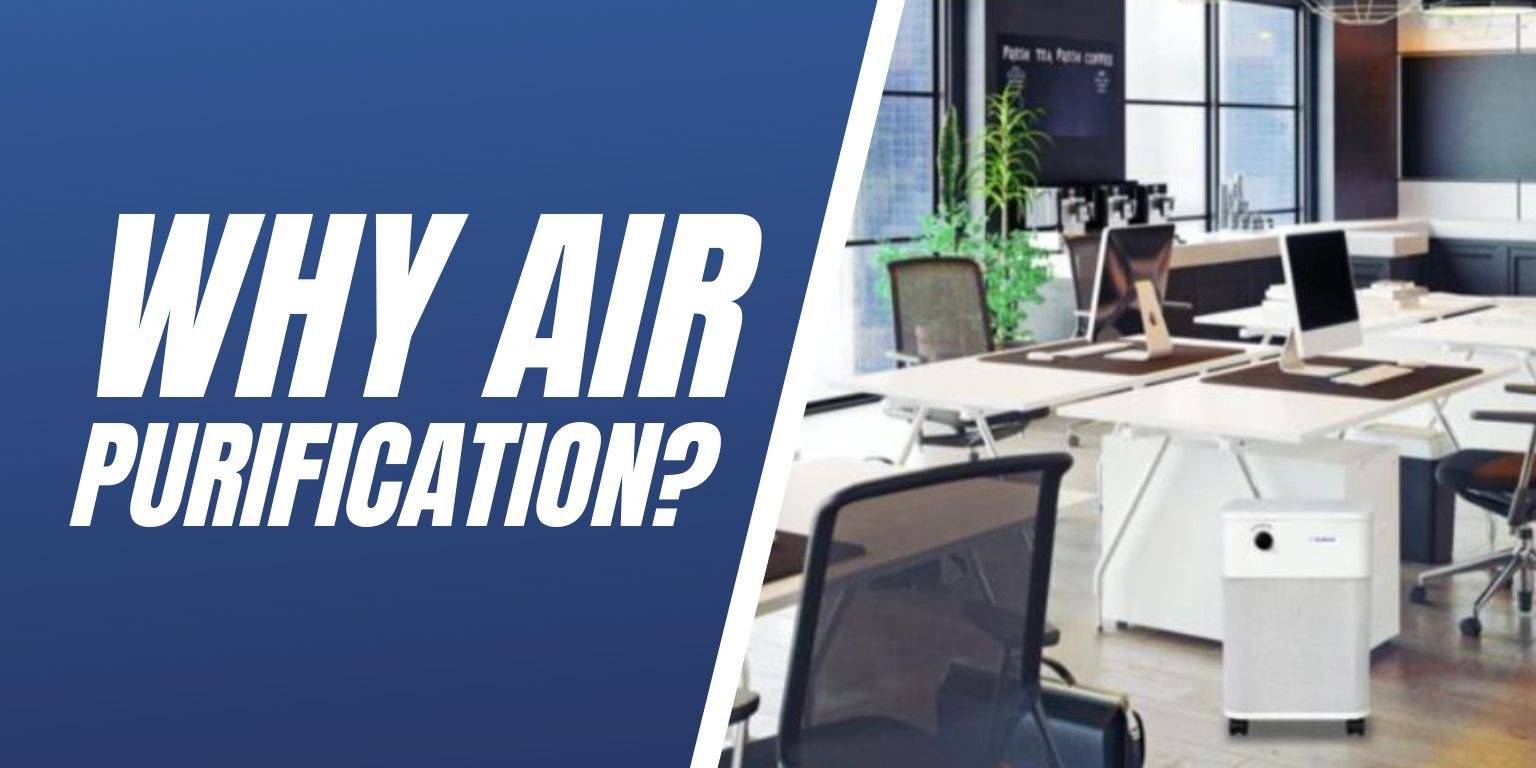 Why Air Purification -  Blog Image
