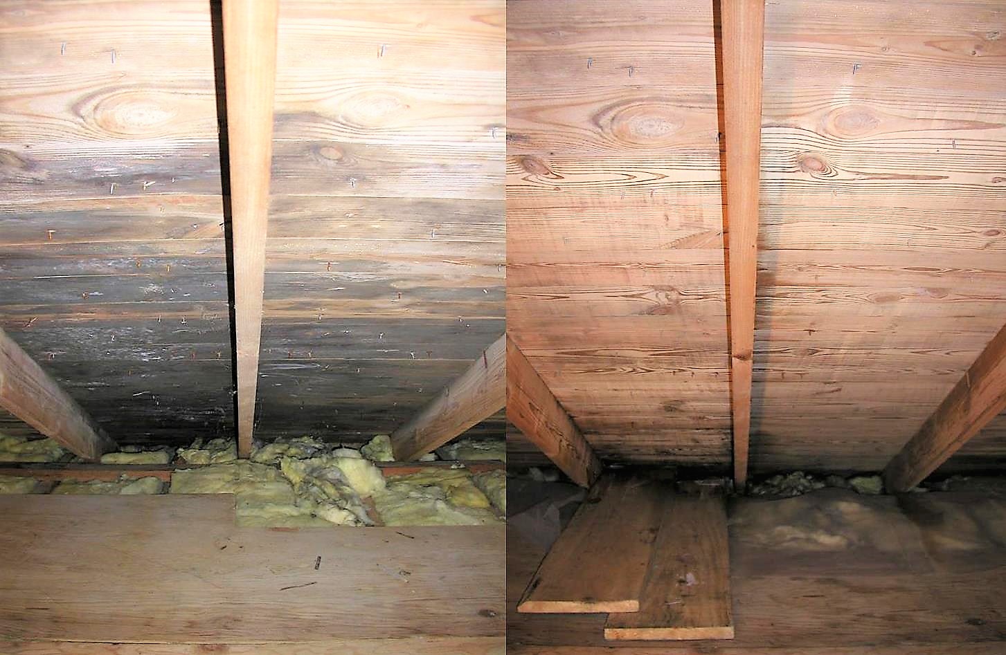 After the Rain How to Clean & Protect from Mold