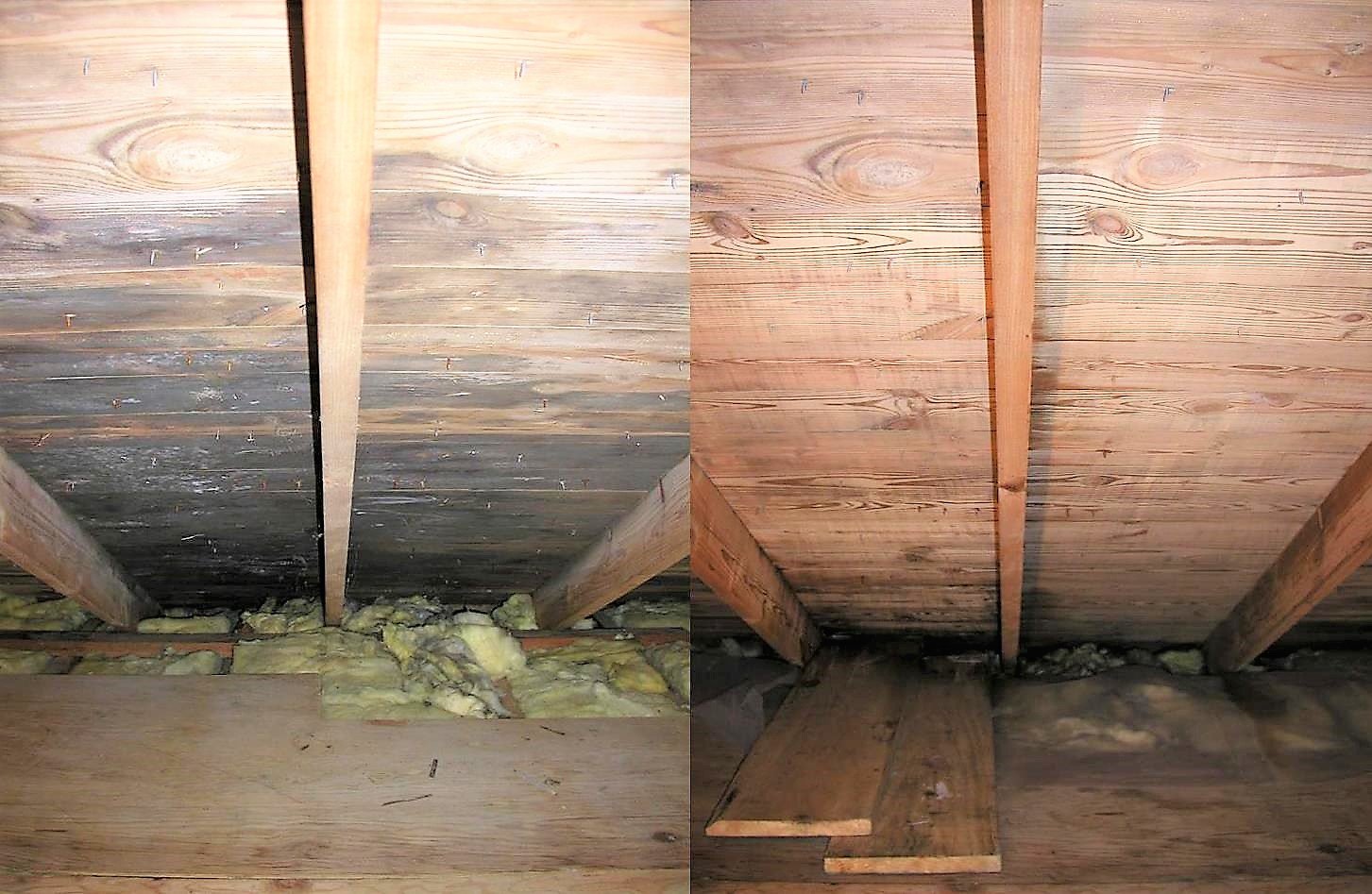 After the Rain How to Clean & Protect from Mold