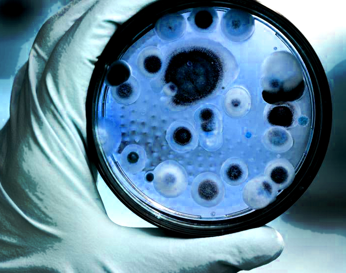 Preparing Your Building For Mold Spores