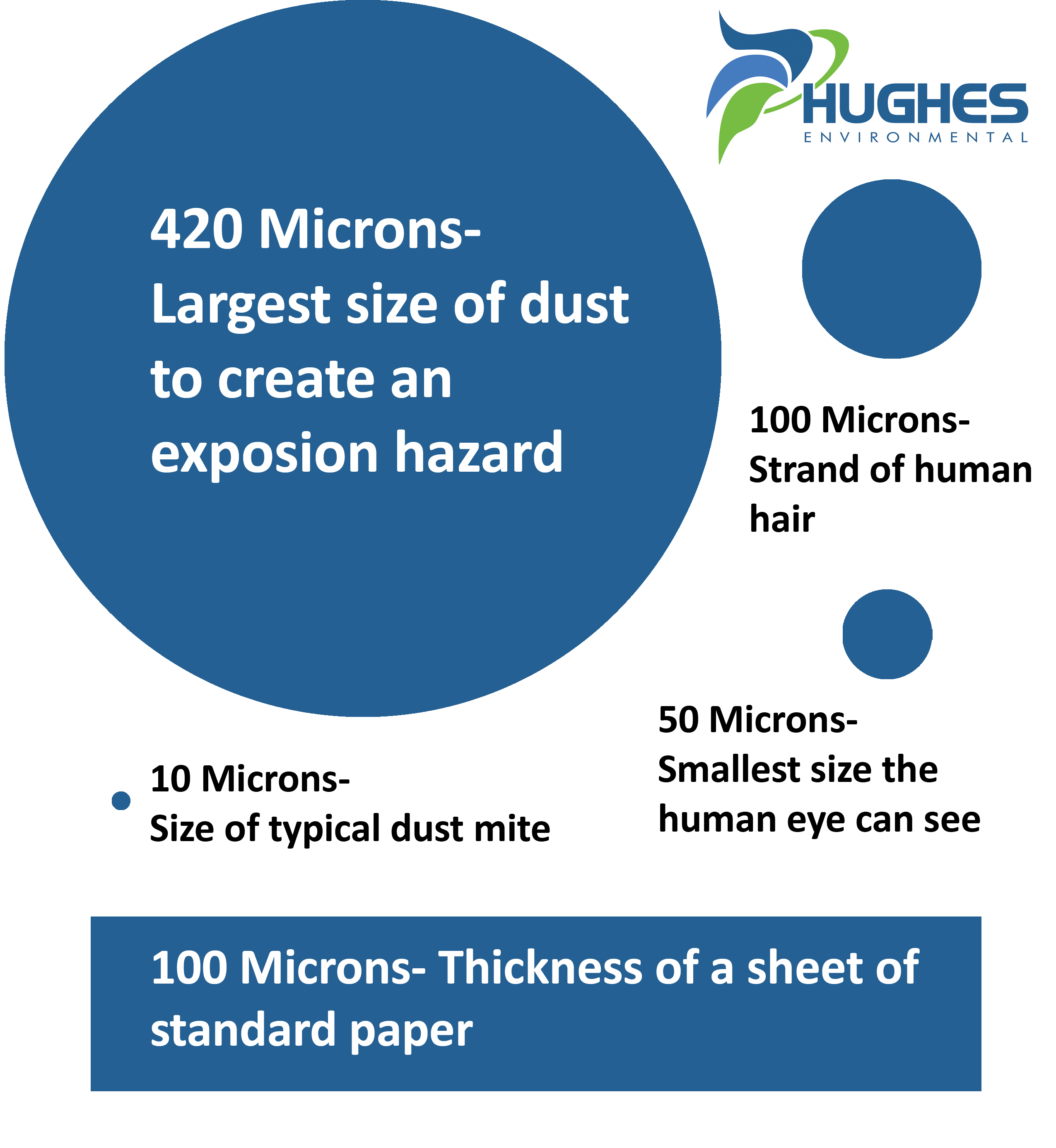 Dust Mite Size Comparison